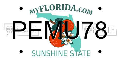 PEMU78 Florida License Plate