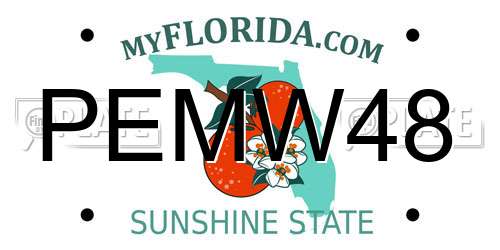 PEMW48 Florida License Plate