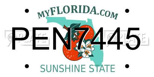 PEN7445 Florida License Plate
