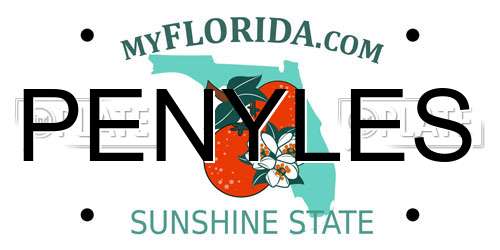 PENYLES Florida License Plate