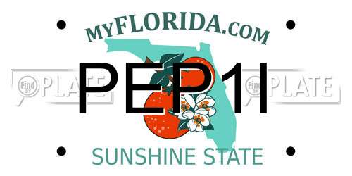 PEP1I Florida License Plate