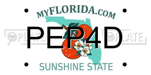 PEP4D Florida License Plate