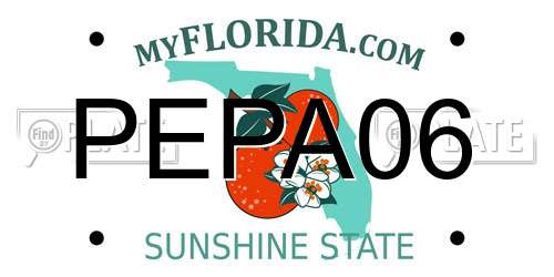 PEPA06 Florida License Plate