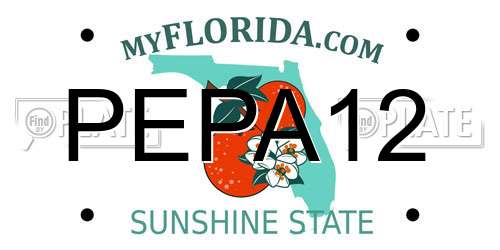 PEPA12 Florida License Plate
