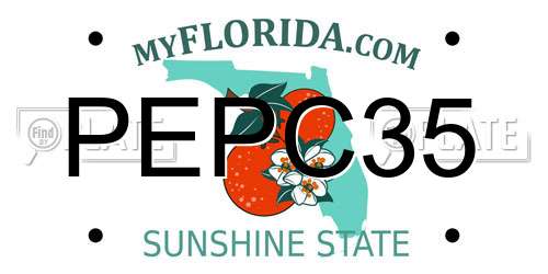 PEPC35 Florida License Plate