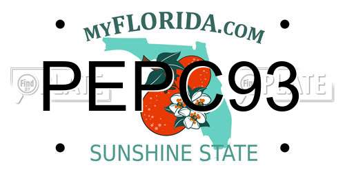 PEPC93 Florida License Plate