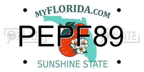 PEPF89 Florida License Plate