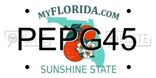PEPG45 Florida License Plate