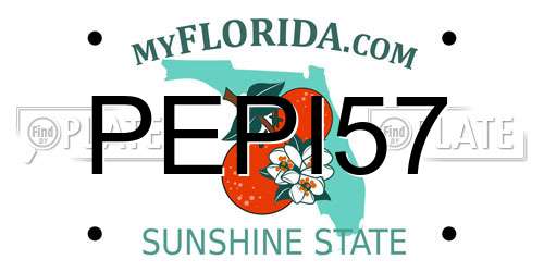 PEPI57 Florida License Plate