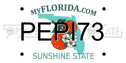 PEPI73 Florida License Plate
