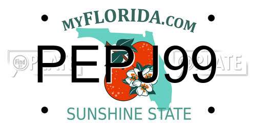 PEPJ99 Florida License Plate