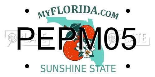 PEPM05 Florida License Plate