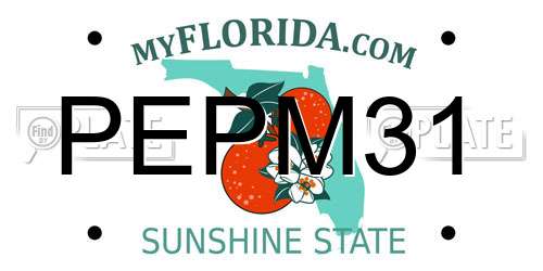 PEPM31 Florida License Plate
