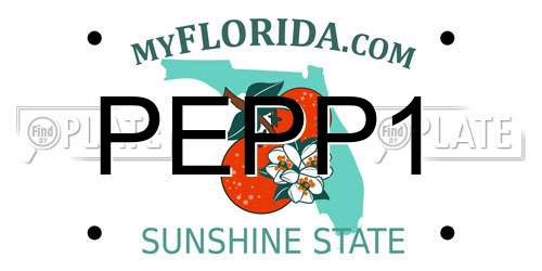 PEPP1 Florida License Plate