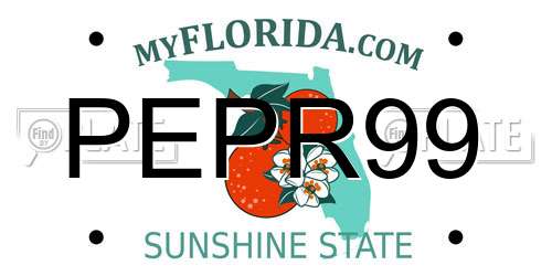 PEPR99 Florida License Plate