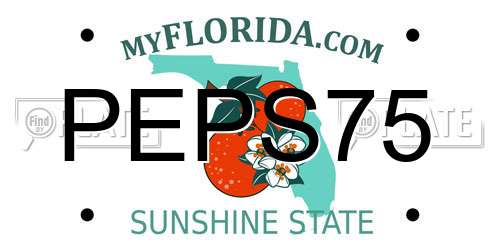 PEPS75 Florida License Plate