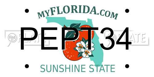 PEPT34 Florida License Plate
