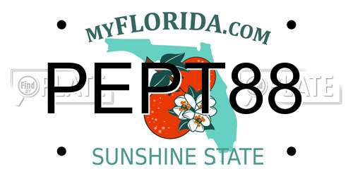 PEPT88 Florida License Plate
