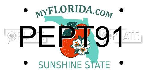 PEPT91 Florida License Plate