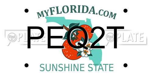 PEQ2T Florida License Plate