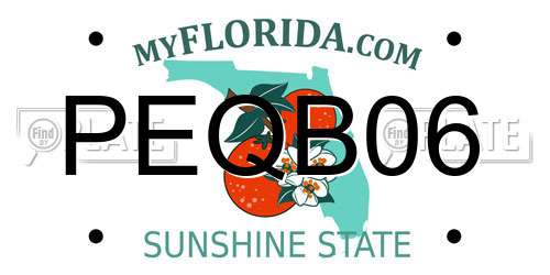 PEQB06 Florida License Plate