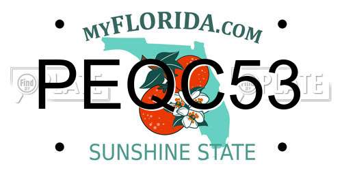 PEQC53 Florida License Plate