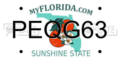 PEQG63 Florida License Plate