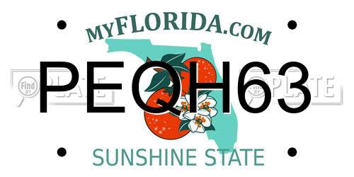 PEQH63 Florida License Plate