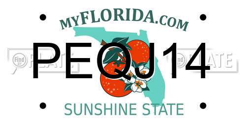 PEQJ14 Florida License Plate