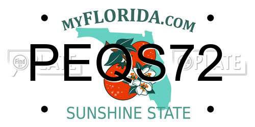 PEQS72 Florida License Plate
