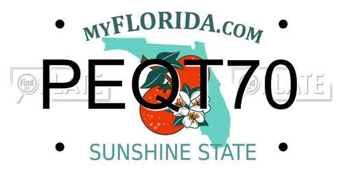 PEQT70 Florida License Plate