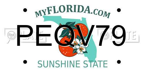 PEQV79 Florida License Plate