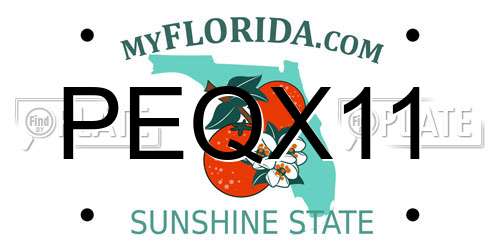 PEQX11 Florida License Plate