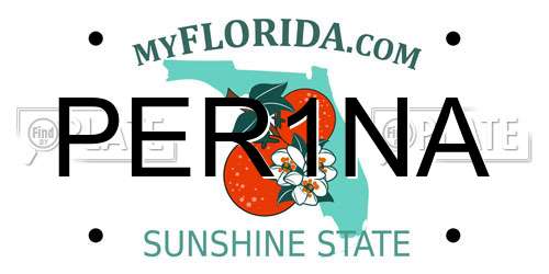 PER1NA Florida License Plate