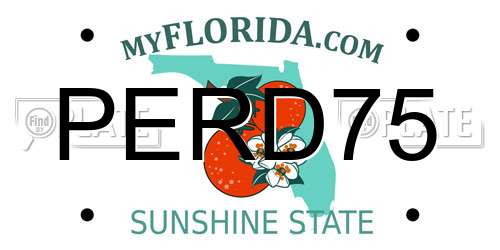 PERD75 Florida License Plate
