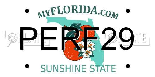 PERF29 Florida License Plate
