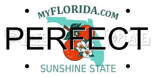 PERFECT Florida License Plate