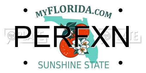 PERFXN Florida License Plate