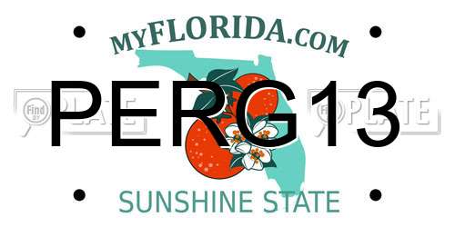 PERG13 Florida License Plate