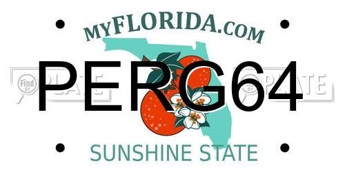 PERG64 Florida License Plate