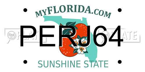 PERJ64 Florida License Plate