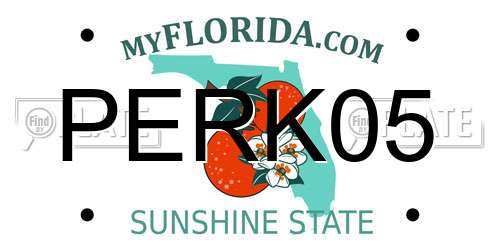 PERK05 Florida License Plate