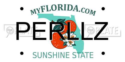 PERLLZ Florida License Plate