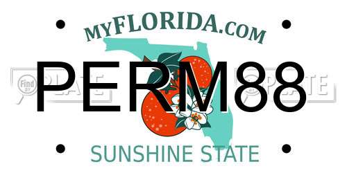 PERM88 Florida License Plate