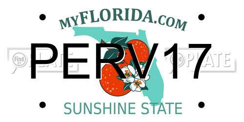 PERV17 Florida License Plate
