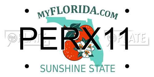 PERX11 Florida License Plate