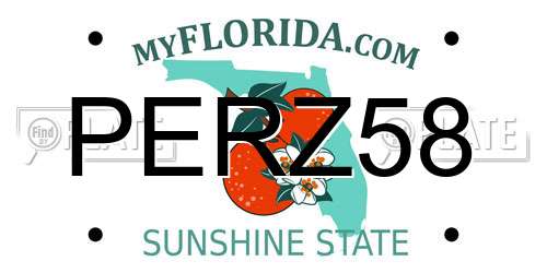 PERZ58 Florida License Plate