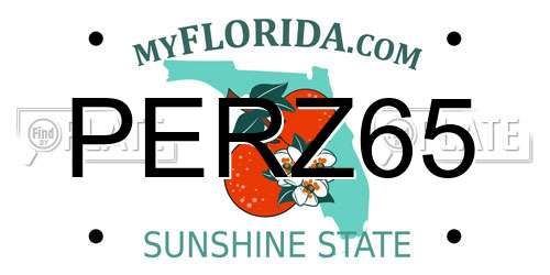 PERZ65 Florida License Plate