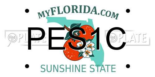 PES1C Florida License Plate