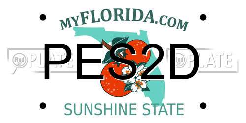 PES2D Florida License Plate